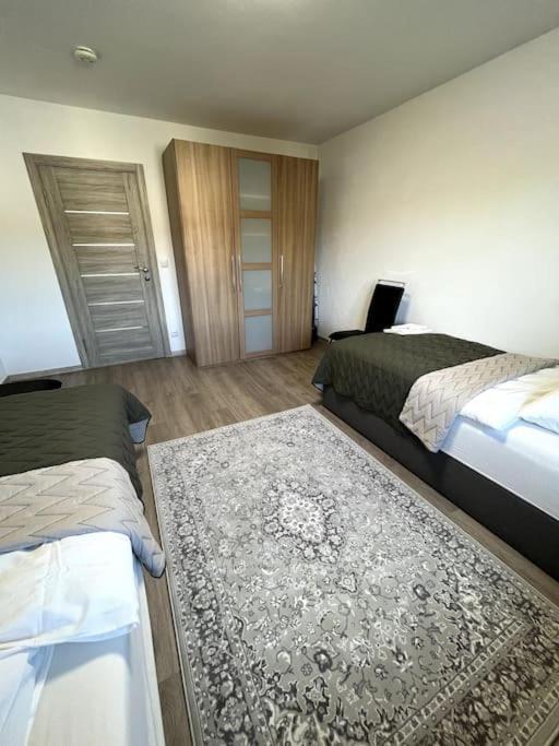 Familienwohnung Naehe Europapark, Messe, Gifiz See Offenburg Eksteriør bilde